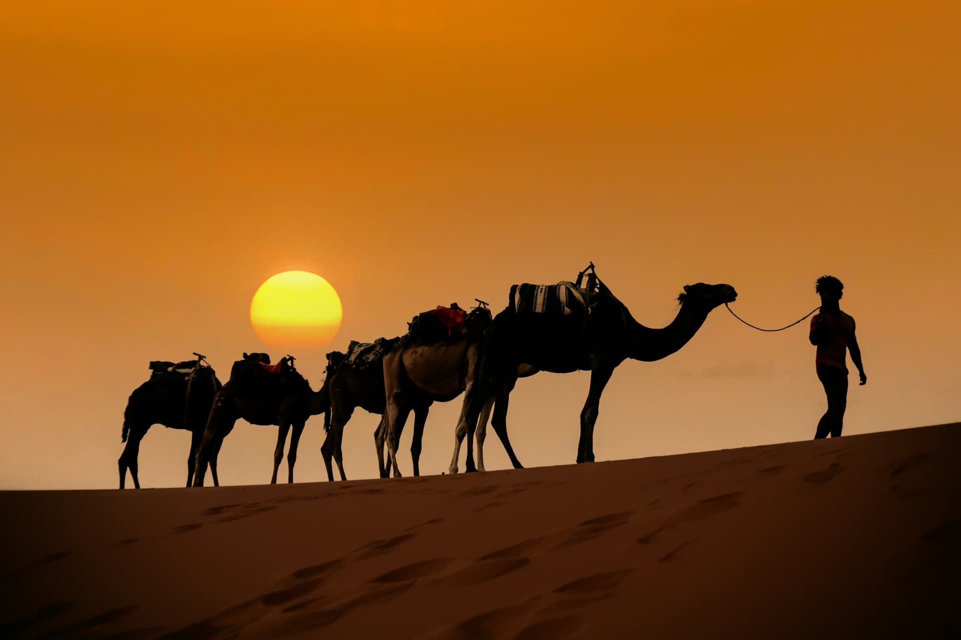 Moroccan Desert Landscape