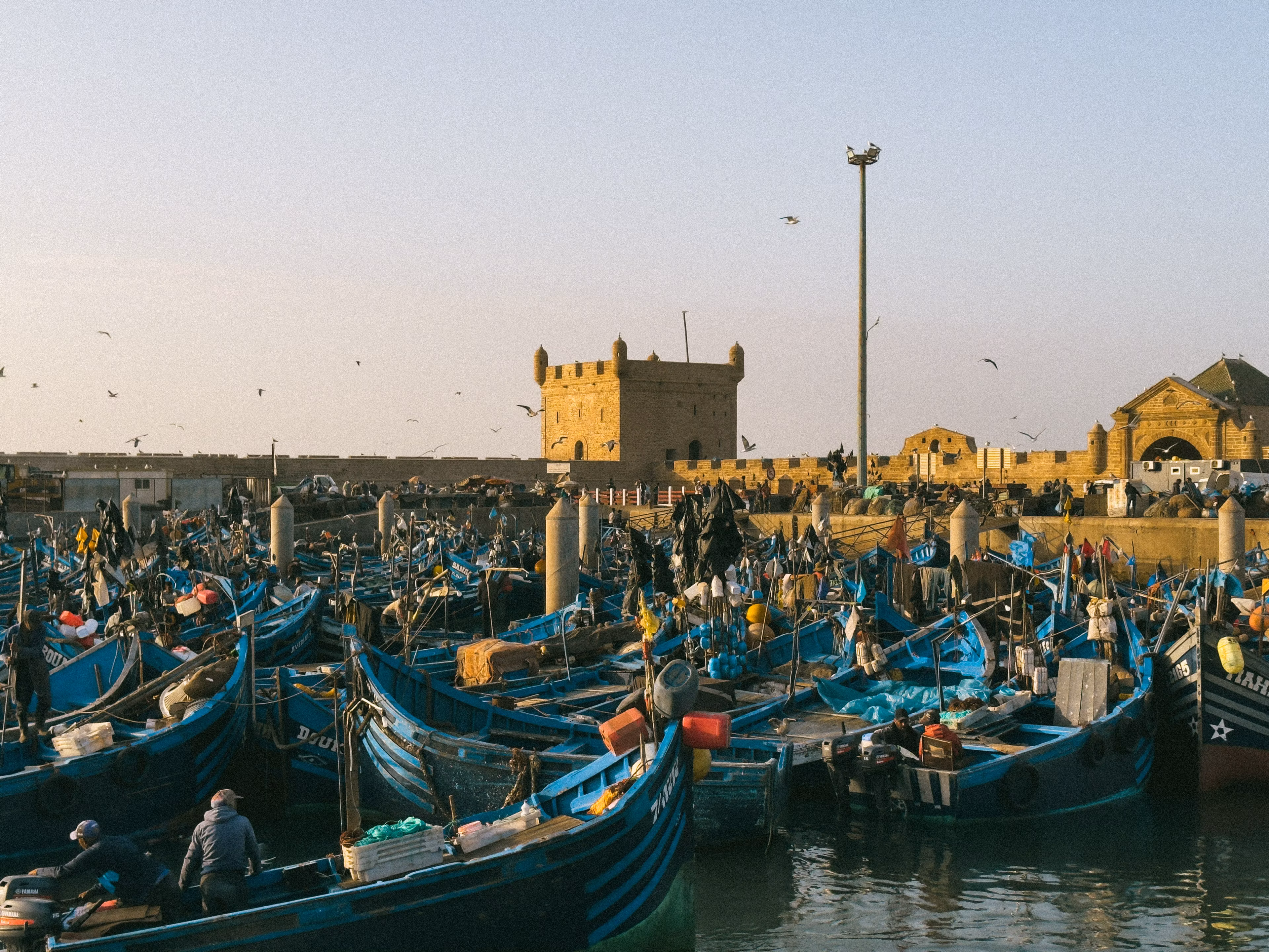 Essaouira Day Trip from Marrakech